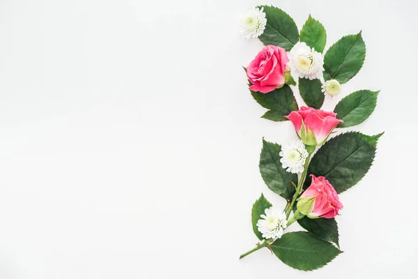 Vista superior da composição das flores isoladas no branco — Fotografia de Stock