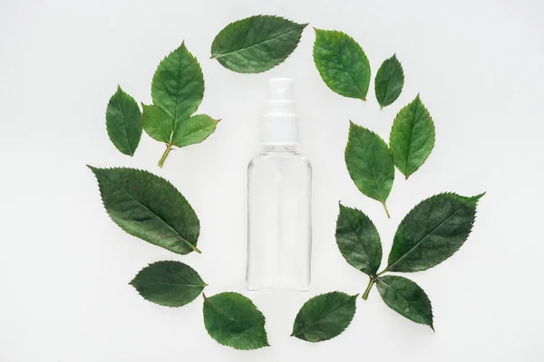 Top view of circular composition with green leaves and empty spray bottle isolated on white — Stock Photo