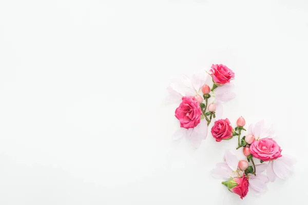 Вид зверху композиції з трояндами бутонами, ягодами і пелюстками ізольовані на білому — стокове фото