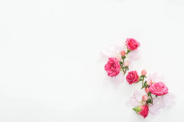 Top view of composition with roses buds, berries and petals isolated on white — Stock Photo