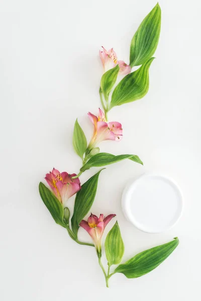 Вид зверху композиції з рожевими квітами, зеленим листям і красивим кремом у пляшці на білому тлі — стокове фото