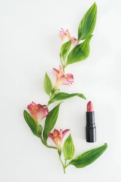 Вид зверху композиції з рожевими квітами, зеленим листям і помадою на білому тлі — стокове фото