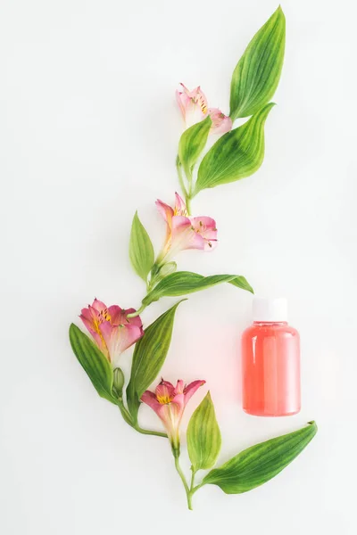 Top view of composition with pink alstroemeria flowers, green leaves and bottle with orange lotion on white background — Stock Photo