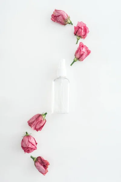 Top view of pink buds and empty spray bottle on white background — Stock Photo