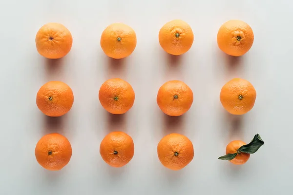 Flache Lage mit leuchtend reifen orangen Mandarinen und einer mit grünen Blättern — Stockfoto