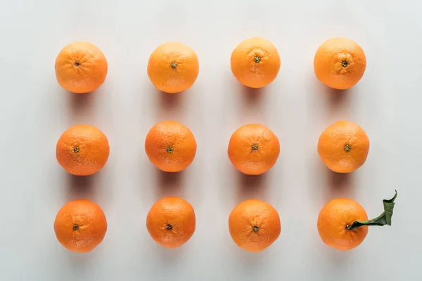 Deitado plano com tangerinas laranja maduras brilhantes e um com folhas verdes — Fotografia de Stock