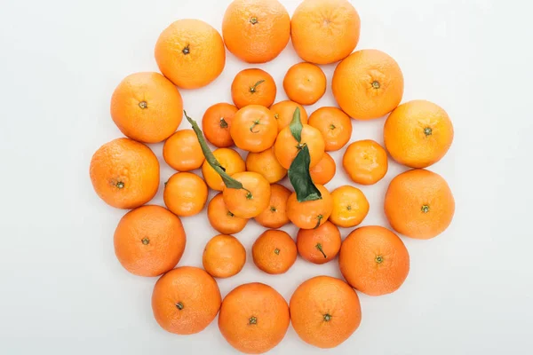 Vista superior de mandarinas naranjas maduras dispuestas en círculo sobre fondo blanco - foto de stock
