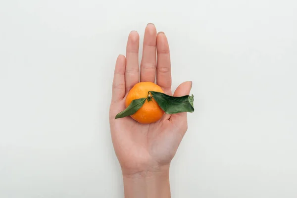 Vista parcial de la mujer sosteniendo toda la mandarina brillante en la mano sobre fondo blanco - foto de stock