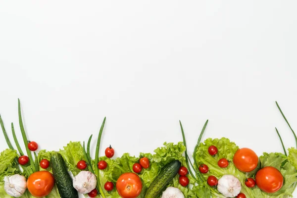 Vue de dessus des tomates, feuilles de laitue, concombres, oignon et ail — Photo de stock