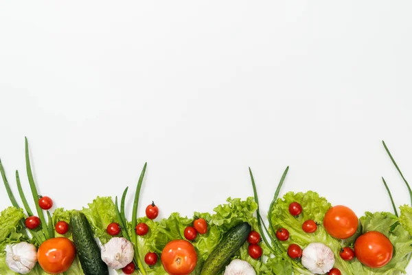 Top view of tomatoes, lettuce leaves, cucumbers, onion and garlic — Stock Photo