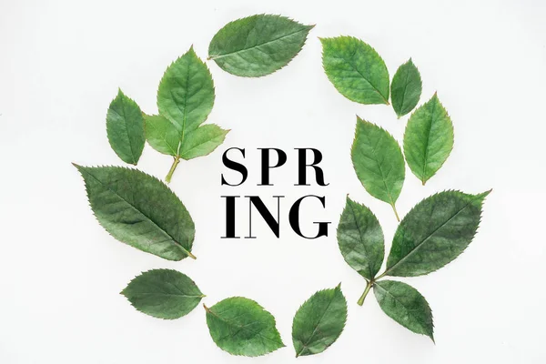 Top view of circular composition with green leaves with black spring lettering on white background — Stock Photo