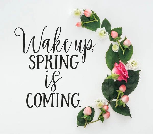 Vista superior de la composición con hojas verdes, rosa y crisantemos sobre fondo blanco con despertar, la primavera viene ilustración - foto de stock