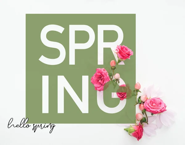 Vista dall'alto della composizione con rose, boccioli e petali su sfondo bianco con scritte ciao primavera — Foto stock