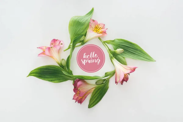 Vista superior da grinalda com flores rosa alstroemeria e folhas verdes no fundo branco com Olá ilustração primavera — Fotografia de Stock