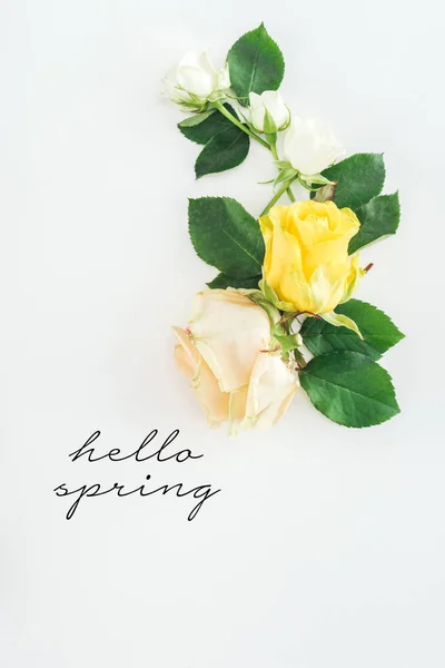 Vue du dessus de la composition des roses sur fond blanc avec lettrage printemps bonjour — Photo de stock