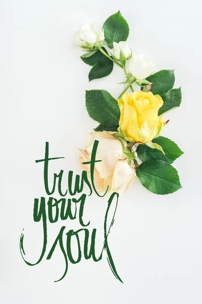Vue du dessus de la composition des roses sur fond blanc avec confiance votre âme lettrage — Photo de stock