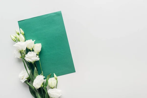 Top view of empty green envelope with eustoma on grey background — Stock Photo