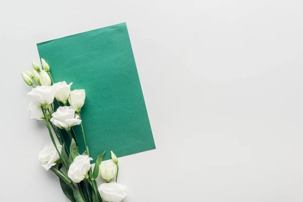 Vue du dessus de l'enveloppe verte vide avec eustomie sur fond gris — Photo de stock