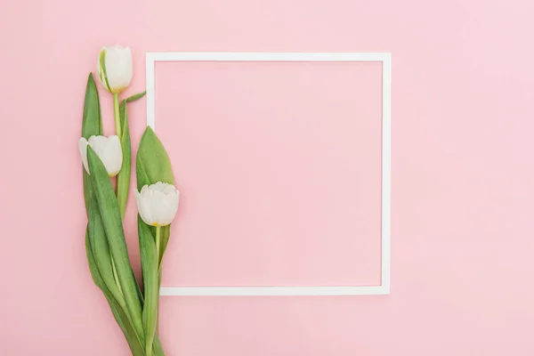 Moldura vazia com flores de tulipa branca isoladas em rosa — Fotografia de Stock