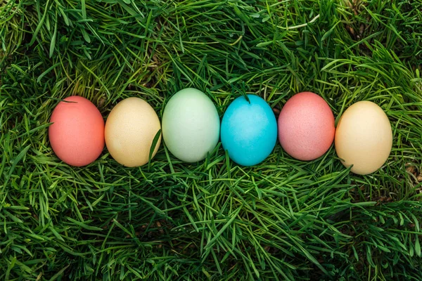 Vista superior de ovos de páscoa coloridos em linha na grama verde — Fotografia de Stock