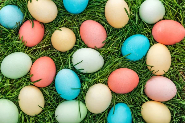 Top view of pastel easter eggs on green grass — Stock Photo