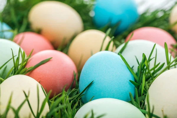 Close up of traditional easter eggs on green grass — Stock Photo