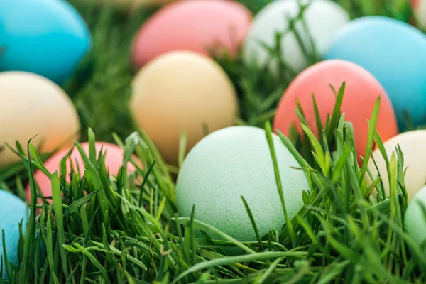 Gros plan des œufs de Pâques pastel sur herbe verte — Photo de stock