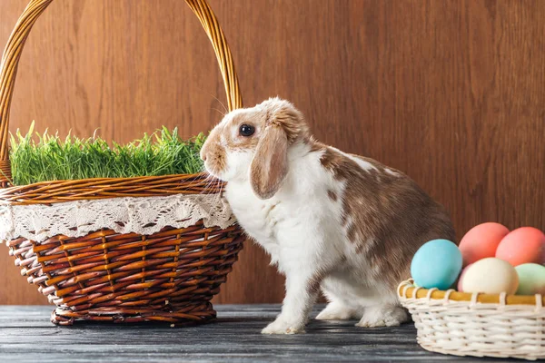 Милий кролик біля миски з великодніми яйцями та плетеним кошиком з травою на дерев'яному столі — стокове фото