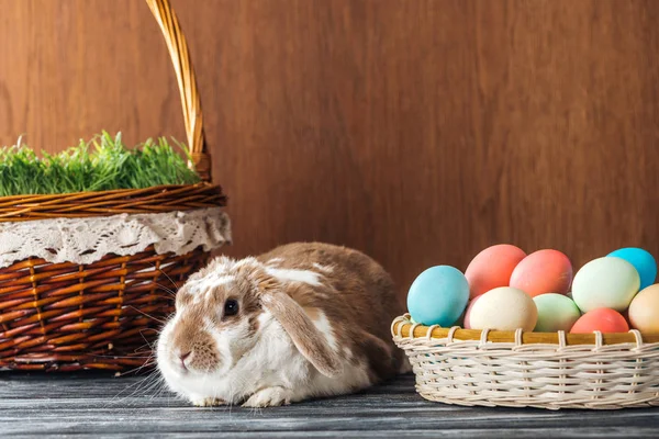 Mignon lapin près panier en osier avec herbe de printemps et bol avec des œufs de Pâques sur table en bois — Photo de stock