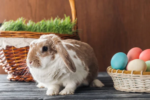 Niedliche Hase in der Nähe Weidenkorb mit Gras und Schale mit Ostereiern auf Holztisch — Stockfoto