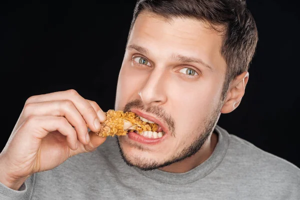 Hombre comiendo crujiente pepita de pollo mientras mira la cámara aislada en negro - foto de stock