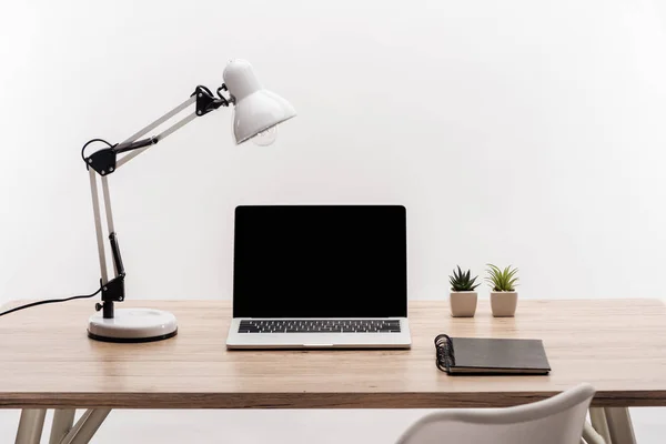 Modern workplace with laptop with blank screen, plants, lamp and notebook isolated on white — Stock Photo