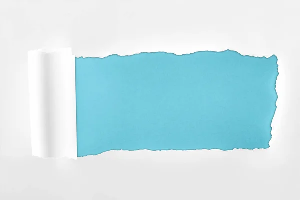 Ripped textured white paper with rolled edge on blue background — Stock Photo