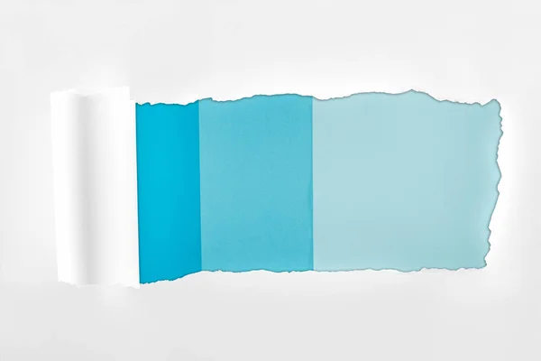 Papel blanco texturizado deshilachado con borde enrollado sobre fondo azul - foto de stock