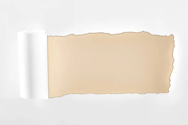 Tattered textured white paper with rolled edge on beige background — Stock Photo