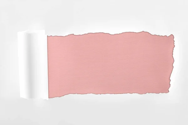 Papel branco texturizado esfarrapado com borda rolada sobre fundo rosa — Fotografia de Stock
