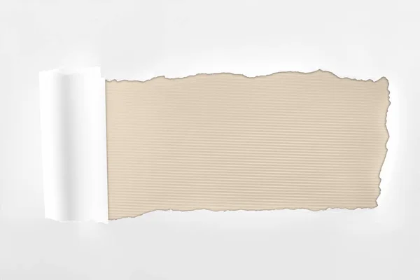 Tattered textured white paper with rolled edge on ivory background — Stock Photo