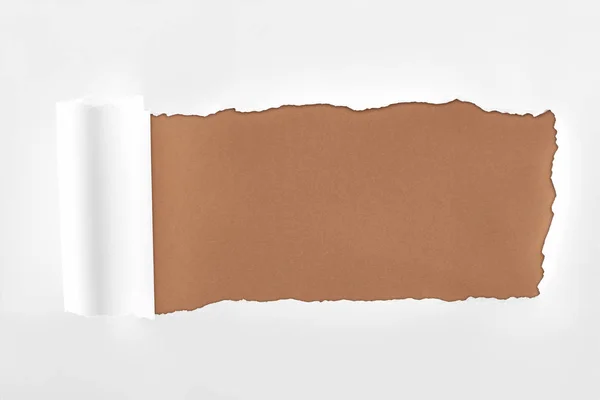 Tattered white paper with rolled edge on brown background — Stock Photo