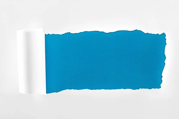 Papel blanco con textura irregular con borde enrollado sobre fondo azul profundo - foto de stock