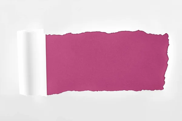 Ragged textured white paper with rolled edge on crimson background — Stock Photo