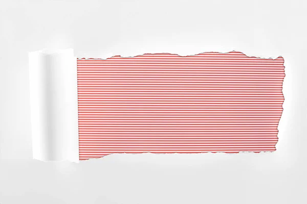 Papier blanc texturé déchiqueté avec bord roulé sur fond rayé rouge — Photo de stock