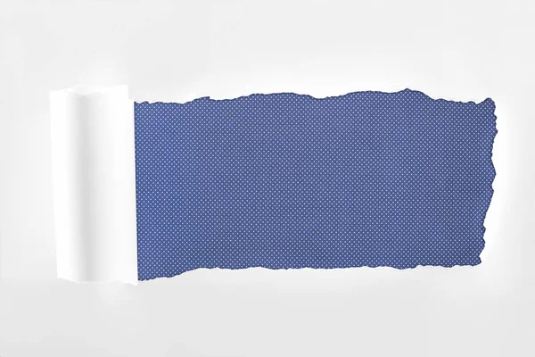 Ragged textured white paper with rolled edge on blue background — Stock Photo