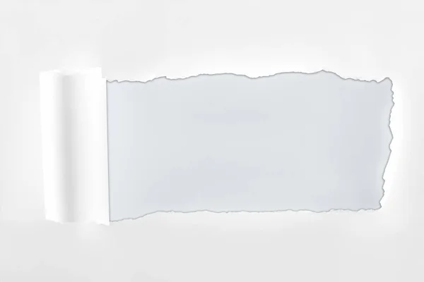Papel texturizado esfarrapado com borda rolada sobre fundo branco — Fotografia de Stock