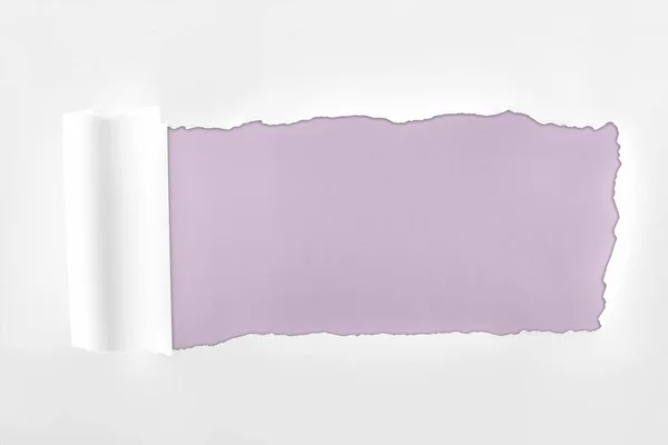 Papel branco texturizado ragged com borda rolada no fundo roxo claro — Fotografia de Stock