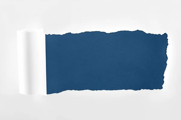 Papel branco texturizado esfarrapado com borda rolada no fundo azul escuro — Fotografia de Stock