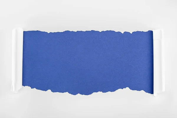 Ragged textured white paper with curl edges on blue background — Stock Photo