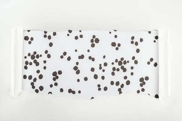 Papier blanc texturé déchiqueté avec bords bouclés sur fond pointillé noir et blanc — Photo de stock