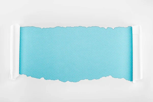 Papel texturizado blanco rasgado con bordes rizados sobre fondo punteado azul - foto de stock
