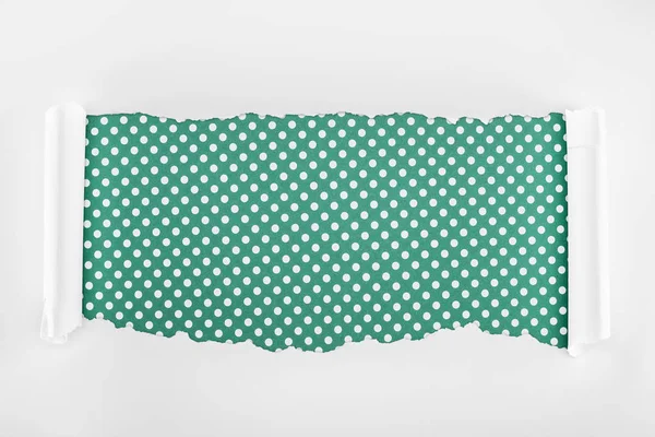 Ripped white textured paper with curl edges on green polka dot background — Stock Photo