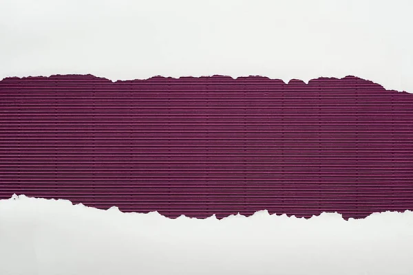 Papel texturizado blanco rasgado con espacio de copia sobre fondo rayado púrpura - foto de stock